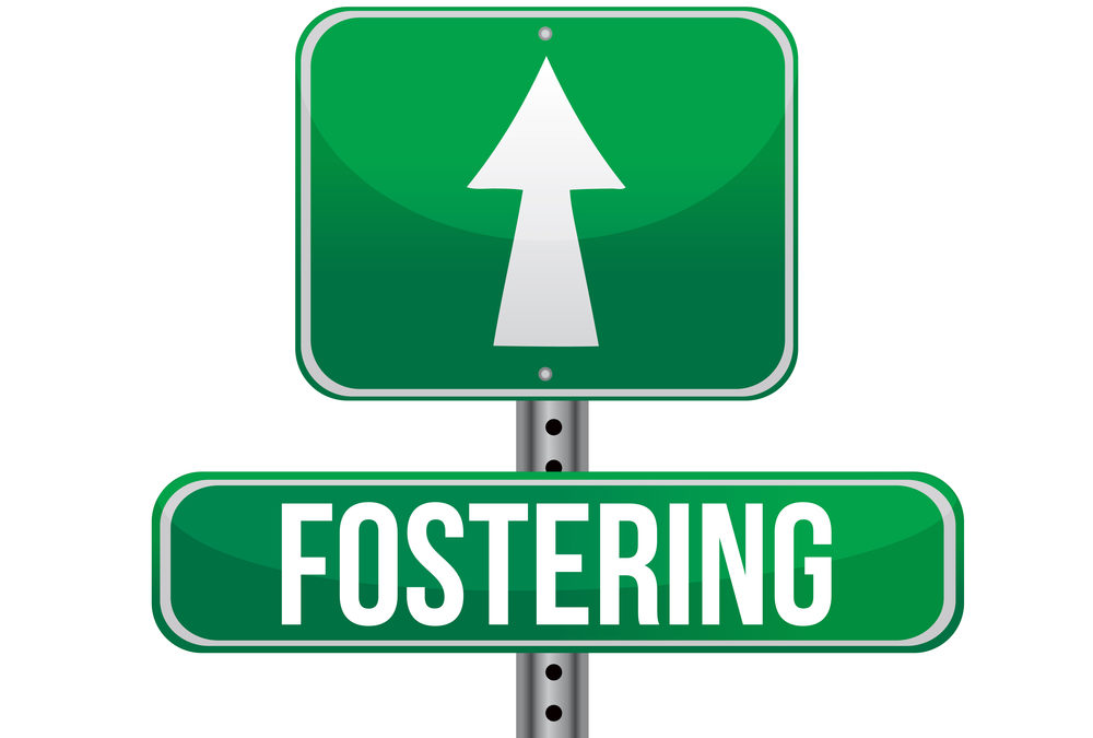 Foster Care – Therapeutic  vs. Traditional
