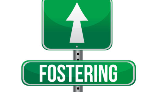 therapeutic foster care and traditional foster care